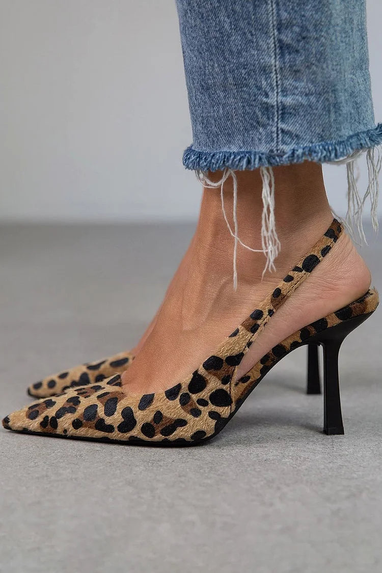 Leopard / 43 (US 12)